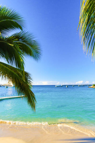 istock Eight Rios Jamaica 1200429275