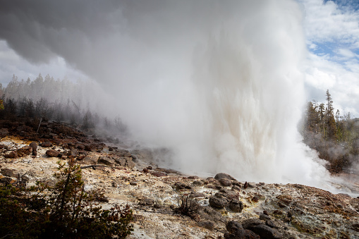 Big explosion of water and white smoke from geyser basin inside area of Norris Geyser basin, Yellowstone, Wyoming; USA.