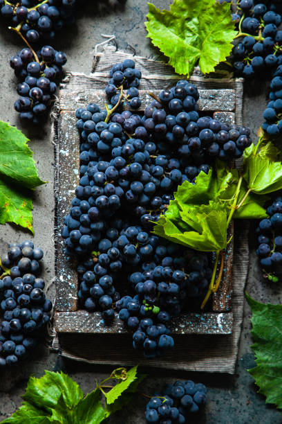istock Blue grapes in a wooden box with green leaf on a rustic background. Flat lay, top view. 1200432031