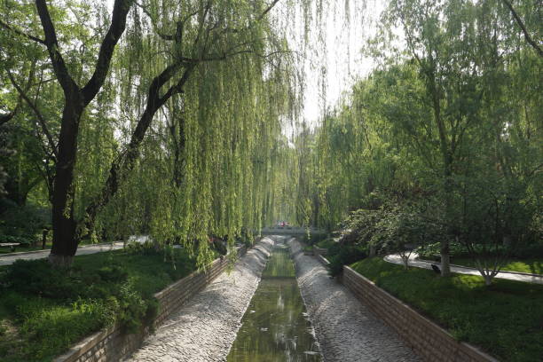 Beijing Canal stock photo