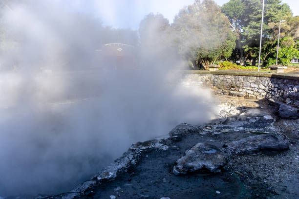 Rotorua has intermittent hot springs throughout the city.
