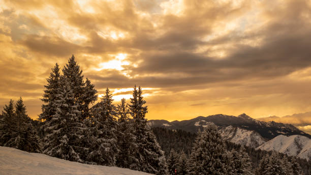 istock Wonderful sunset over the Alps. Pine trees covered with fresh snow. Sun rays passing through the clouds. Relaxing context 1200439444