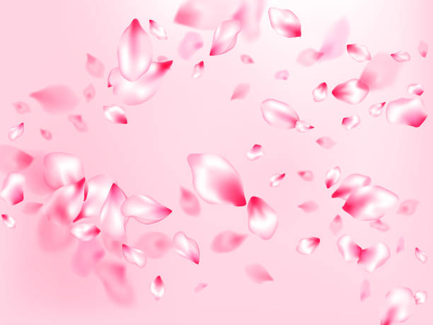 istock Japanese cherry blossom pink flying petals 1200441784
