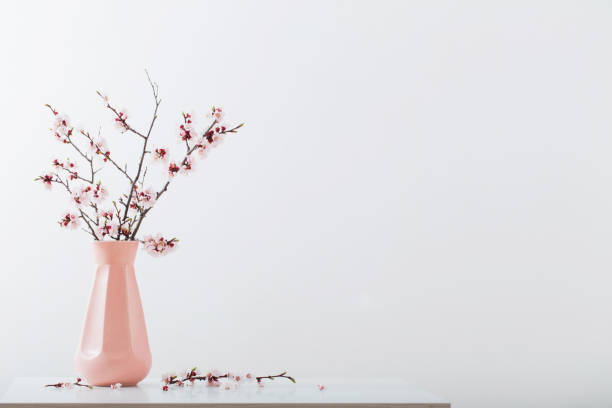 istock flowering cherry branch in  vase on white background 1200444672