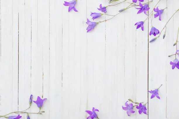 bluebell flowers om white wooden background