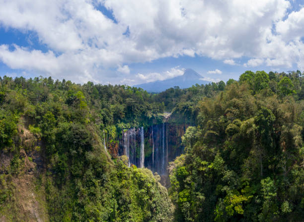 istock Scenic aerial view of Tumpak Sewu waterfall on Java 1200447925