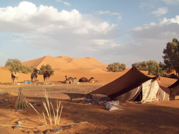 istock Camel caravan on the Sahara Desert, Morocco, tent campament, wild settlement 1200449274