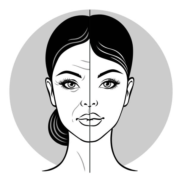 ilustrações, clipart, desenhos animados e ícones de retrato da mulher velha da metade, cara da mulher pequena. cara da mulher antes e depois do facelift. - face lift illustrations