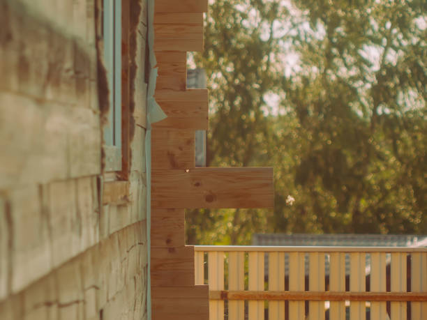 istock wooouse made of timber in summer 1200452945