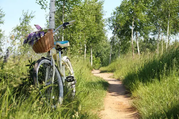 path in the park with green grass, trees and a standing bicycle with a basket of flowers