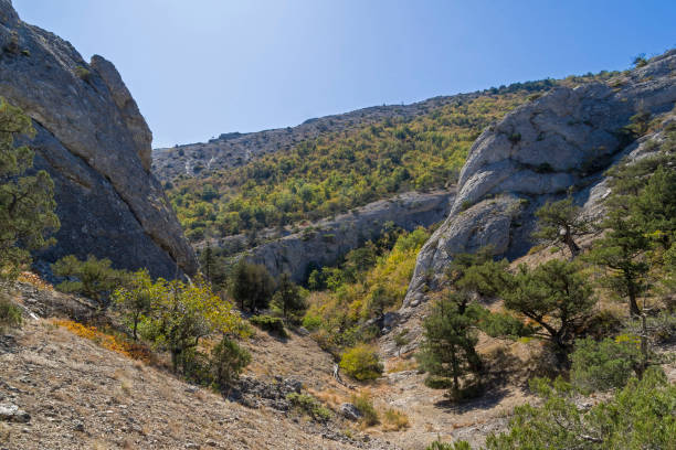 A small gorge in the Crimean mountains. The foot of the Sokol mountain (Kush-Kaya), the Black Sea coast between Sudak and Novyy Svet. Sunny day in September.