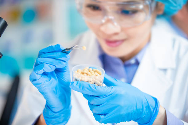 istock Food Safety Concept 1200461913