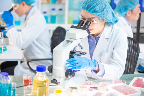 istock Food Safety Concept 1200461934