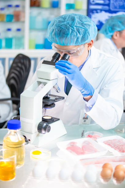istock Food Safety Concept 1200461949