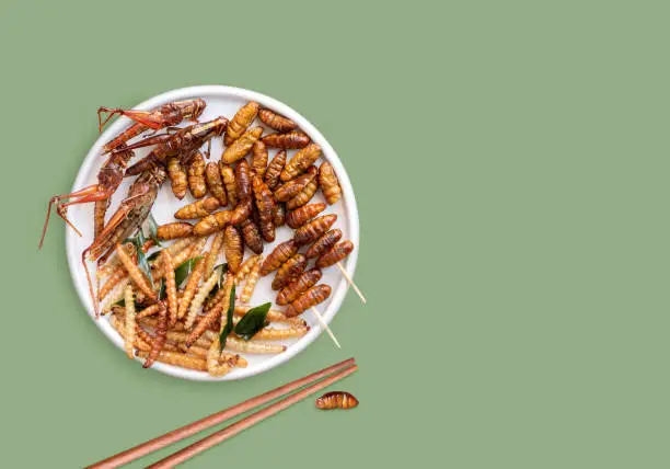 Photo of Mixed of crispy worm and insects in a ceramic plate with chopsticks on green background. The concept of protein food sources from insects. It is a good source of protein, vitamin, and fiber.