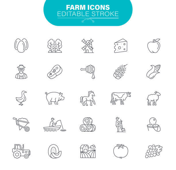 illustrazioni stock, clip art, cartoni animati e icone di tendenza di icone della farm line. tratto modificabile. il set contiene il simbolo come agricoltura, agricoltura, maiale, illustrazione campo agricolo - campo di pomodori