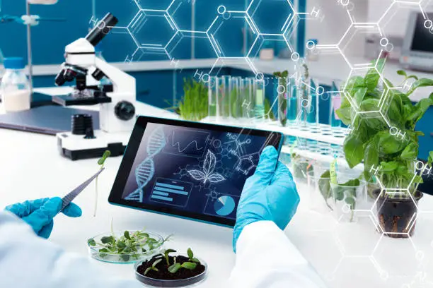 Closeup scientists hands are holding tablet. Biologist is working at microbiology laboratory. Woman is conducting experiments, tests with plants. Biotechnologist is researching leaves on computer.