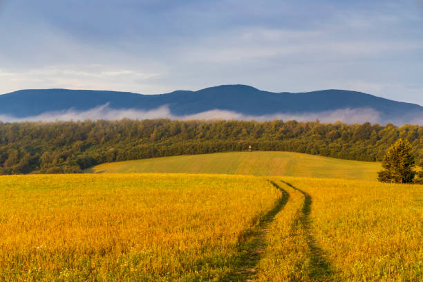 istock Morning fog under Vihorlat, Slovakia 1200470876