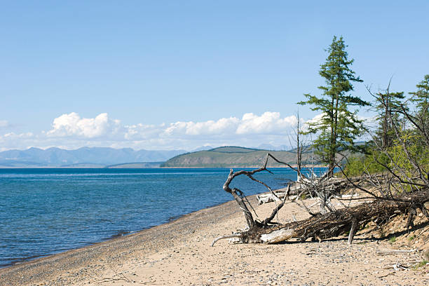 Lake shore landscape stock photo