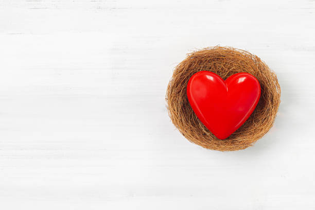 istock Red Heart Inside bird nest on white wood background. Protect  Love with Copy Space. 1200471377