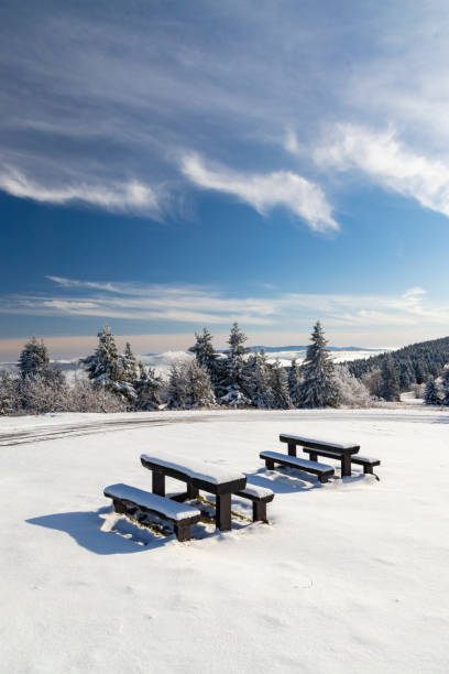 istock Orlicke Mountains in winter, Czech Republic 1200472034