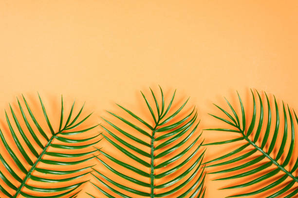 istock Tropical green leaf lay on orange background. Top view. 1200473943