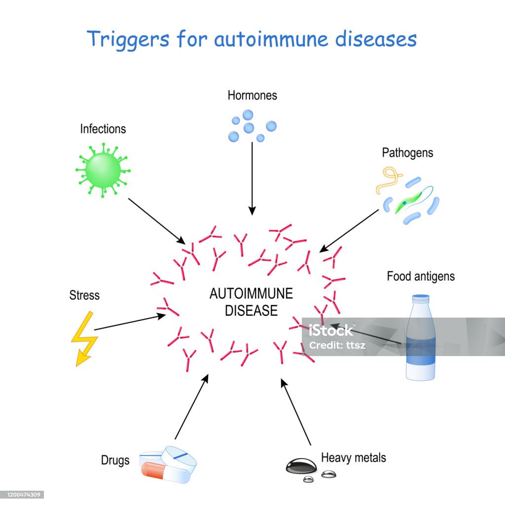 Triggers For Autoimmune Diseases Stock Illustration - Download Image Now -  Violence, Allergy, Antibody - iStock