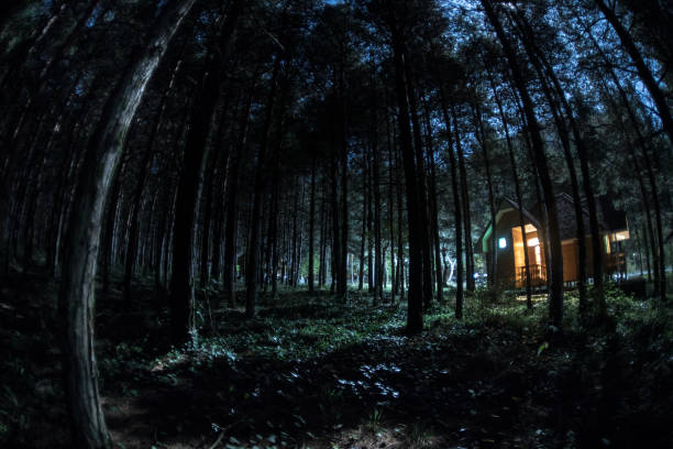 istock Old spooky house at the pine forest at night. Horror Halloween concept 1200476801