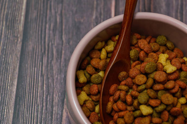 istock Dog food shot on wooden pattern background 1200478514