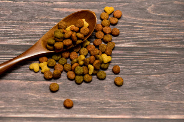 istock Dog food shot on wooden pattern background 1200478580