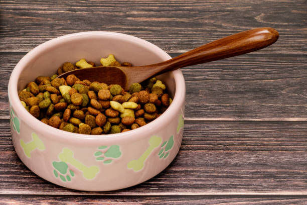 istock Dog food shot on wooden pattern background 1200478782