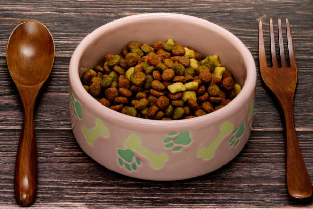 istock Dog food shot on wooden pattern background 1200478895