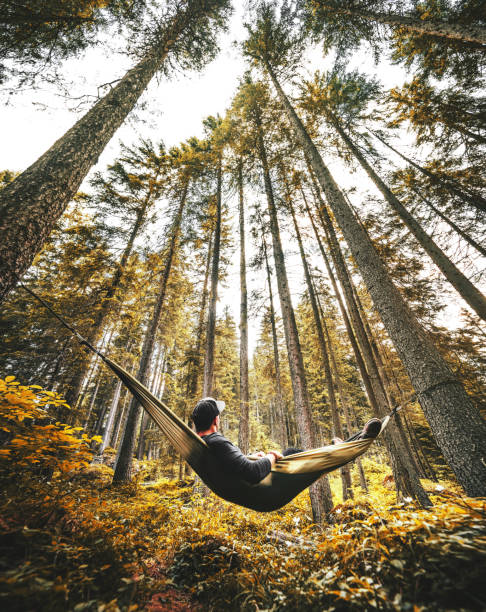 man resting on the hammock man resting on the hammock canopy photos stock pictures, royalty-free photos & images