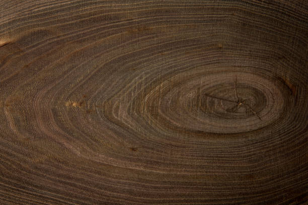istock Texture saw cut wood closeup, background, top view 1200481153