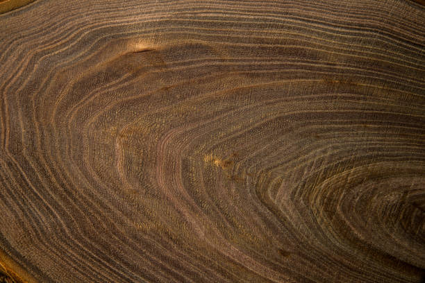 istock Texture saw cut wood closeup, background, top view 1200481166