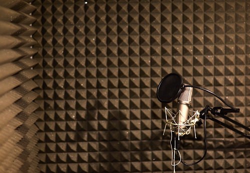 Professional studio microphone for voice recording. Sound recording studio. Soundproof room.