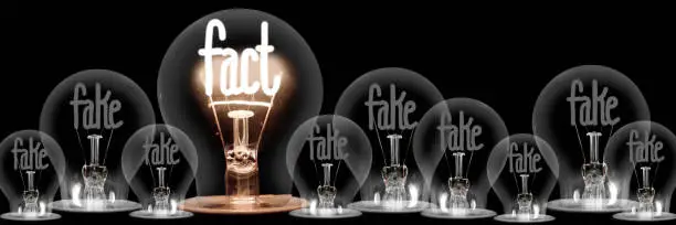 Photo of Light Bulbs with Fake and Fact Concept