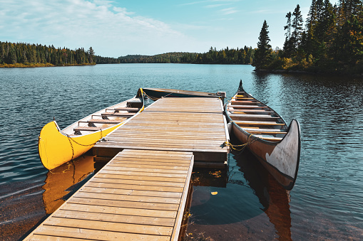 Canoes on the shore of the lake on a sunny day in the Mauricie National Park, Canada. Nature lifestyle concept.