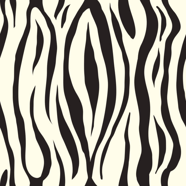 Zebra Seamless Pattern. Vector Stripes Background. Zebra Seamless Pattern. Vector Black and White Stripes Background. taxidermy cat stock illustrations