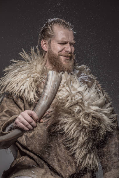 istock Portrait of a Viking Warrior King 1200488046