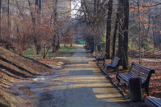 istock Path for pedestrians in the winter park 1200488229