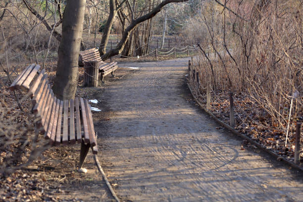 istock Path for pedestrians in the winter park 1200488242