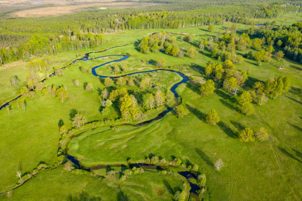 Forest in summer colors. Green deciduous trees and winding blue river in sunset. Soomaa wooded meadow, Estonia, Europe Forest in summer colors. Green deciduous trees and winding blue river in sunset. Soomaa wooded meadow, Estonia, Europe Lea stock pictures, royalty-free photos & images