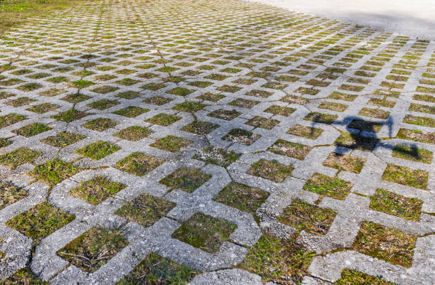 istock The shadow of a drone 1200491053