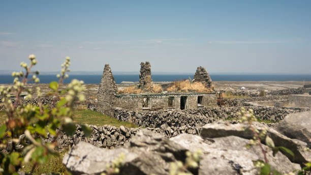 A stacked-stone fence/wall around the border of The Burren in County Clare, Ireland.