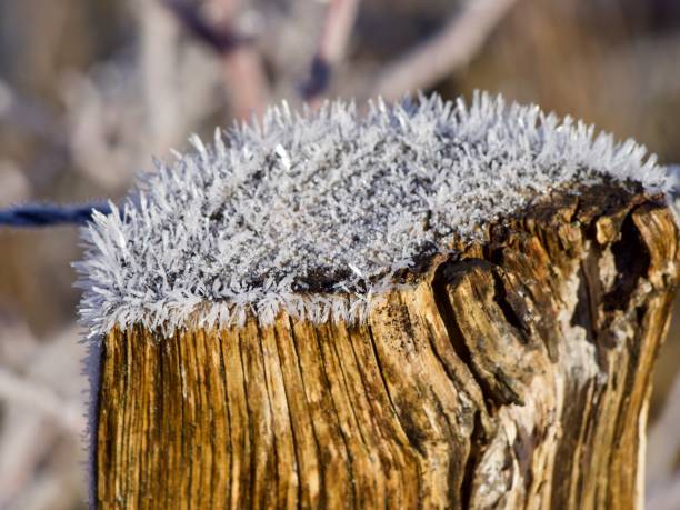 lans in frost vercors
