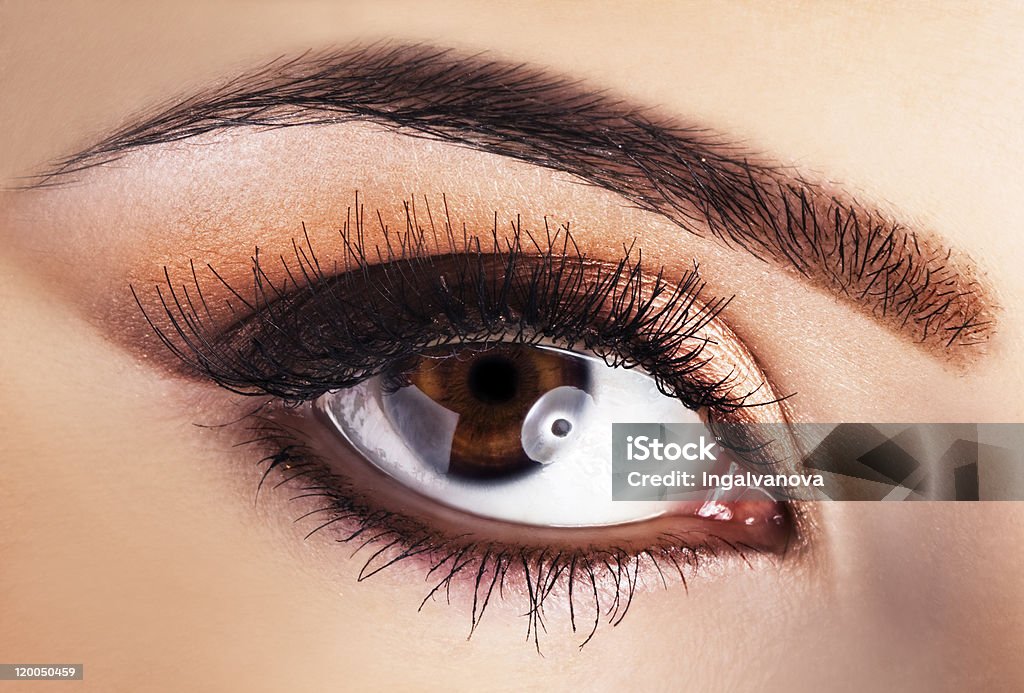 Woman brown eye Woman brown eye closeup Adult Stock Photo
