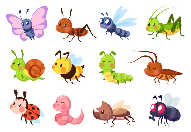 Cute insects. Bugs creatures bee and ladybug, worm, snail and butterfly, caterpillar. Mantis, dragonfly and fly cartoon vector set Cute insects. Bugs creatures bee and ladybug, worm, snail and butterfly, caterpillar. Mantis, dragonfly and fly funny cartoon vector wildlife set cartoon animals stock illustrations