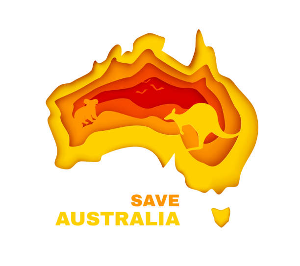 호주 개념 배너를 저장합니다. 코알라, 캥거루, 새의 실루엣이 있는 종이 컷 스타일로 대륙을 채색합니다. 벡터 그림입니다. - koala australian culture cartoon animal stock illustrations