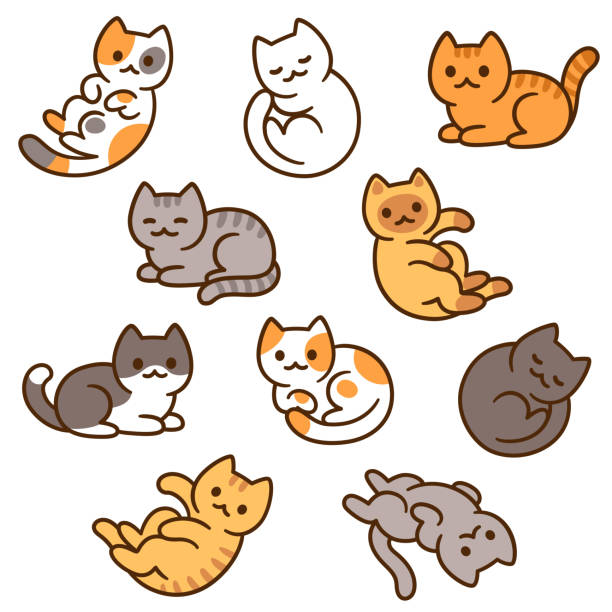 ładny zestaw kotów z kreskówek - naklejka ilustracje stock illustrations